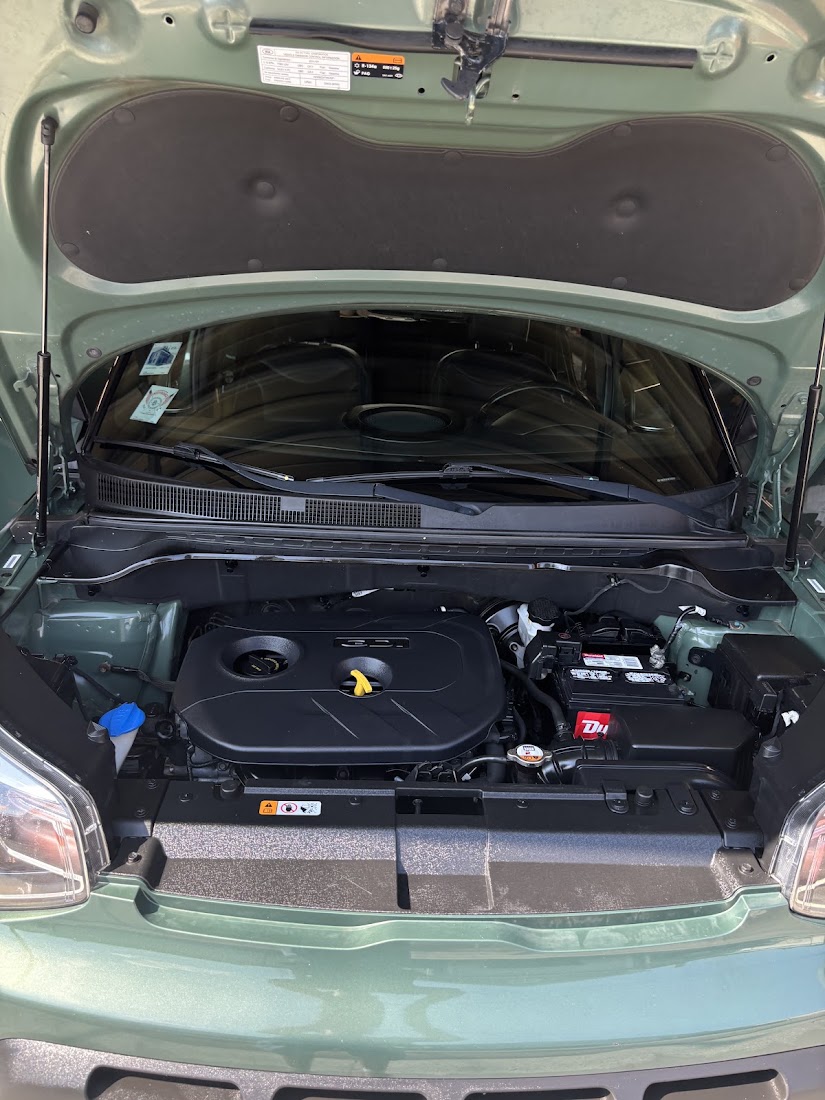 Auto Detailing project